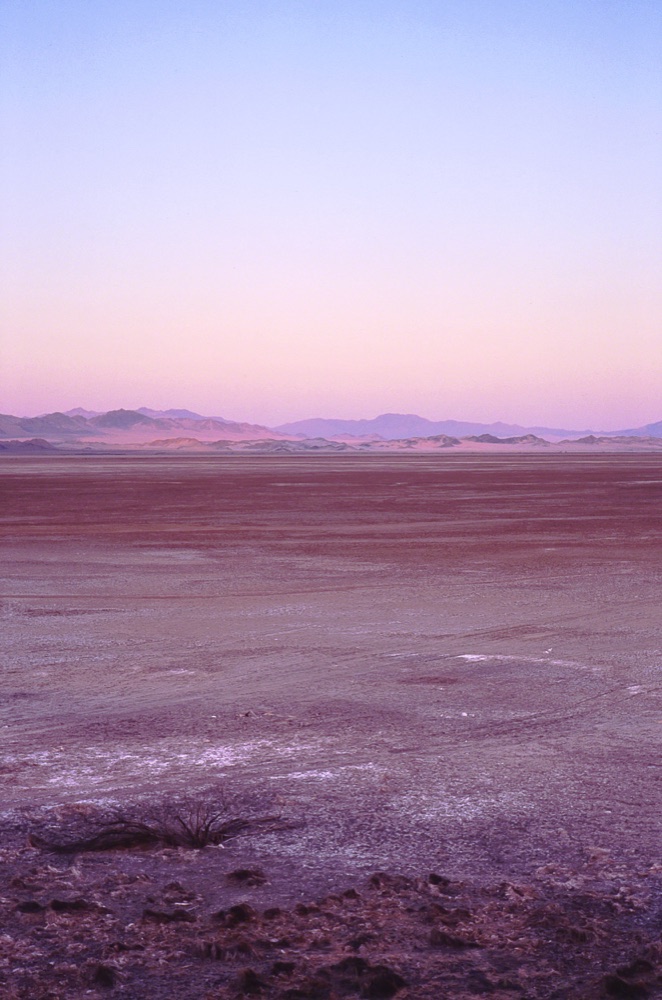 A Southern Belle Walks Across Soda Lake