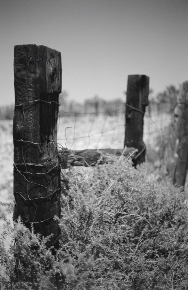 Fence Post