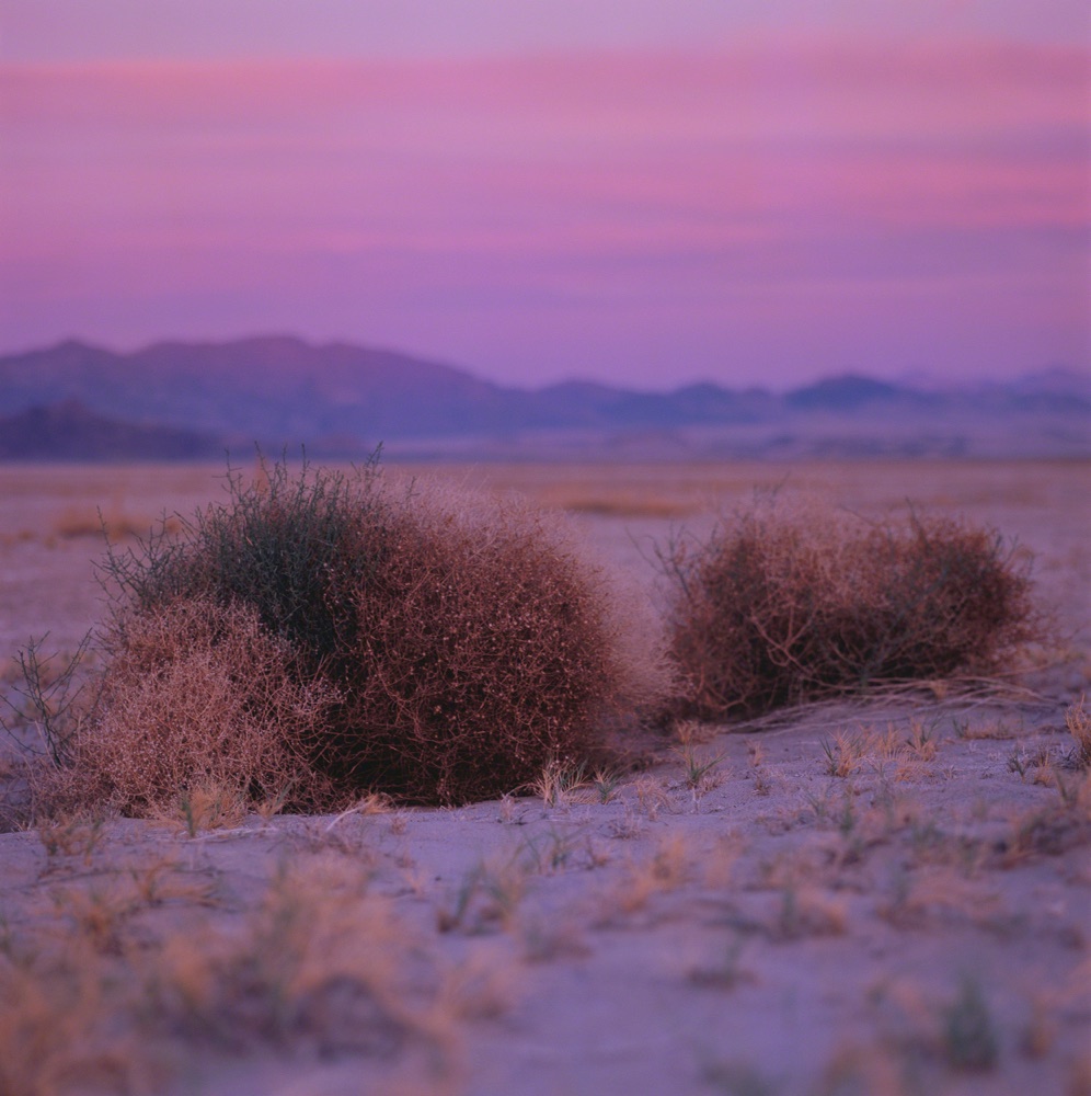 Mojave, a desert sunset photograph by Gabriel Thorburn