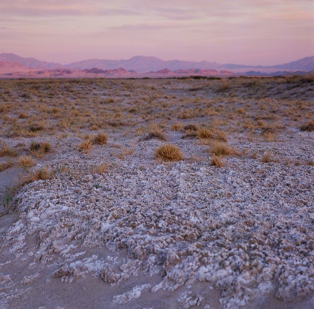Mojave Evening