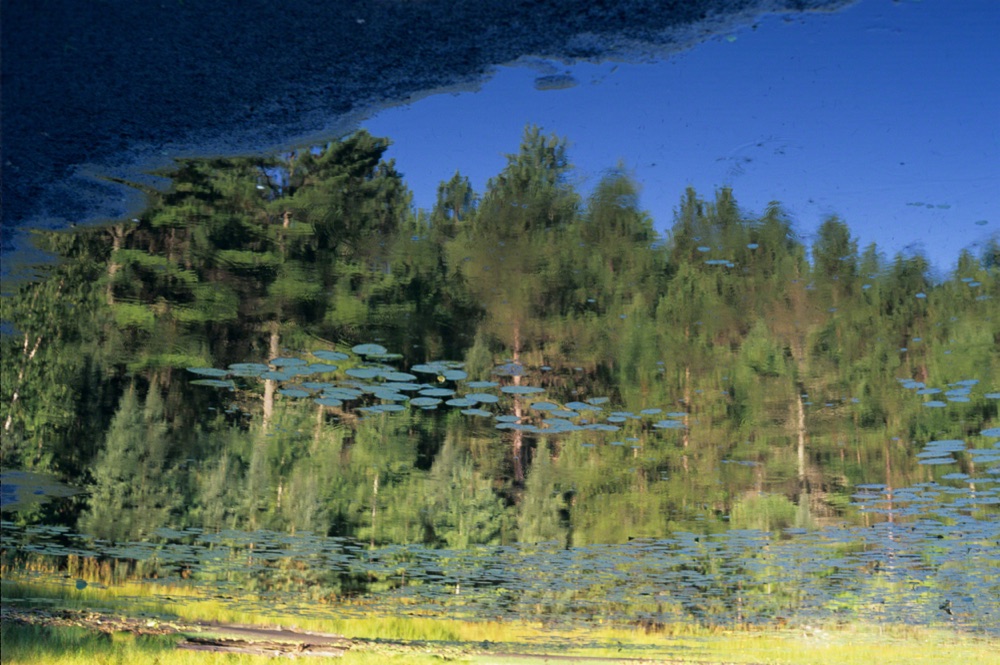 Kettle Pond
