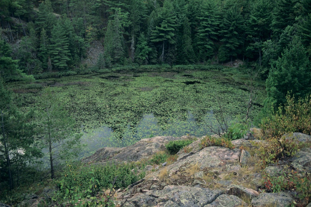Mead Pond