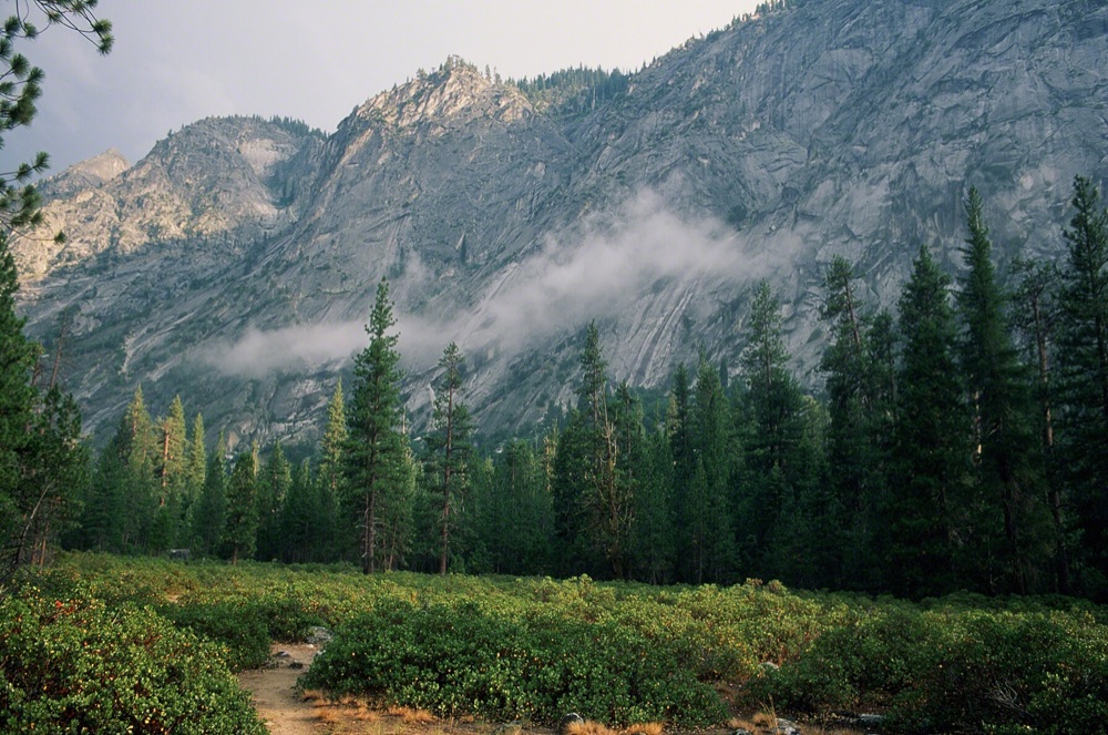 Kings Canyon after the Storm