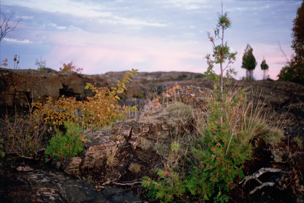 Black Rocks